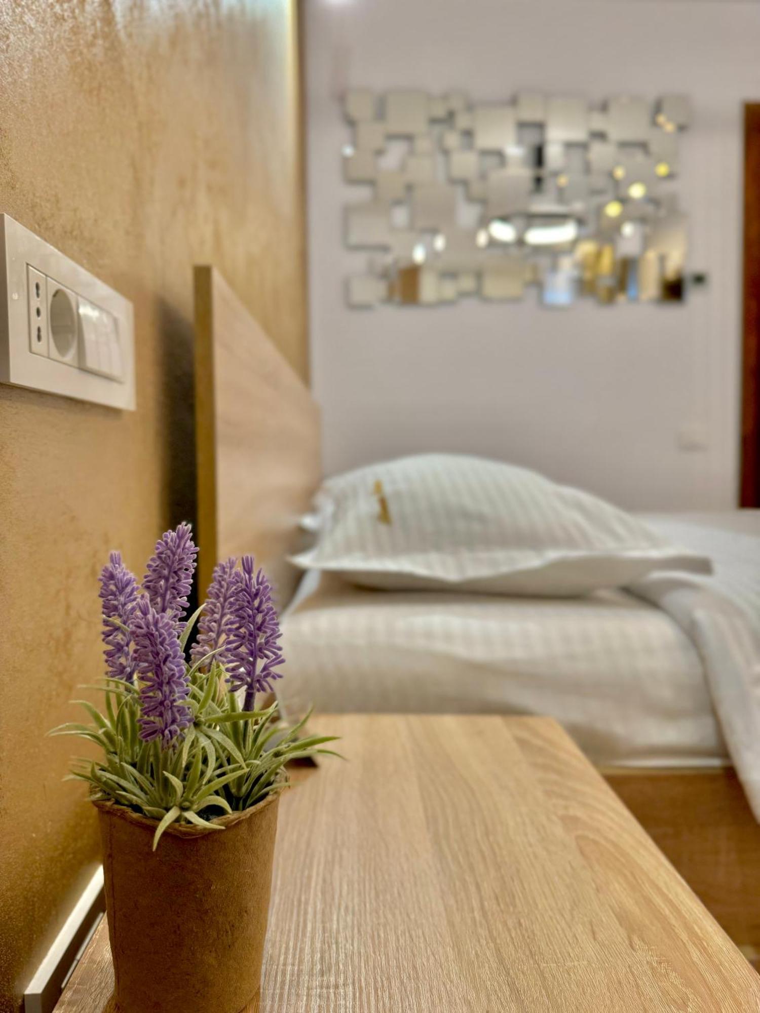 Appartement Blancris Boutique à Braşov Extérieur photo